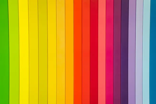 Original image showing typical colour vision view
